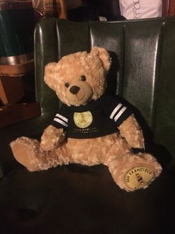 New bear San Francisco Bay aria super bowl 50