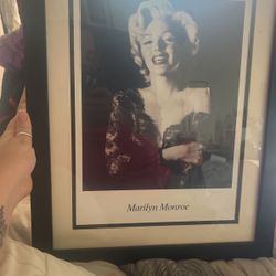 Marilyn Monroe  Picture 
