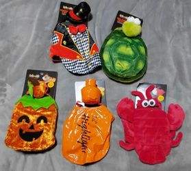 CUTE THRILLS AND CHILLS SMALL PET COSTUMES