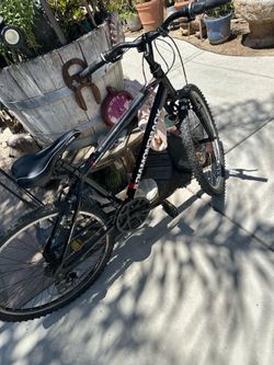 This bike
