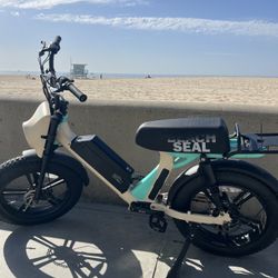 Electric Bike (XPRIT Fat Tire)