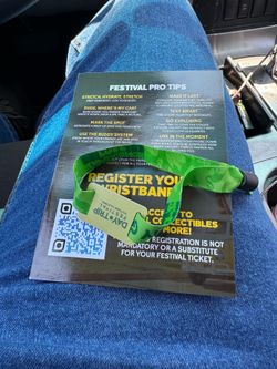 Day trip ticket