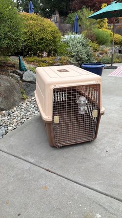 Pet carrier