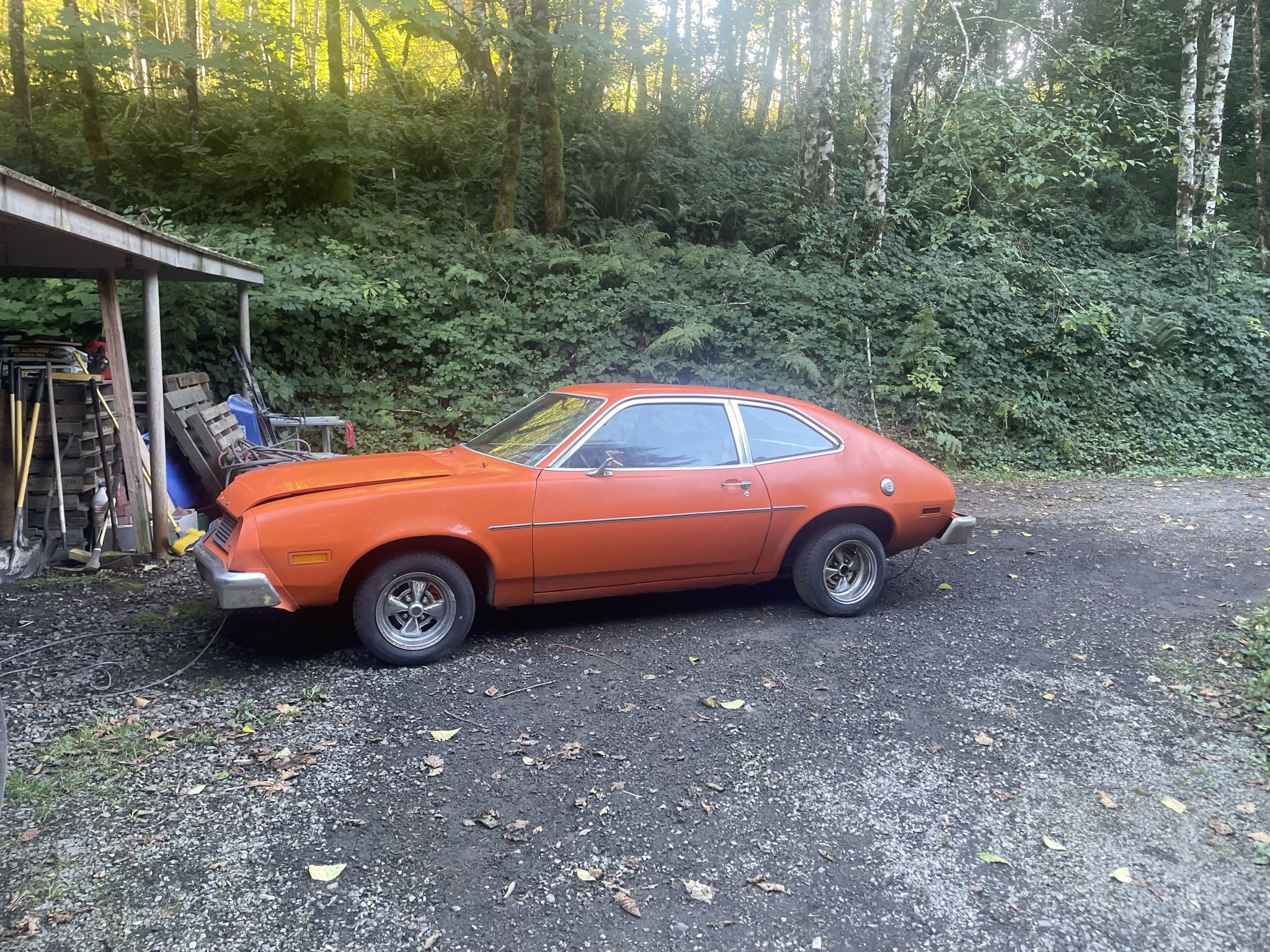 79 Pinto