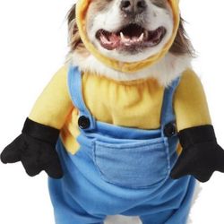 Dog Minion Costumes
