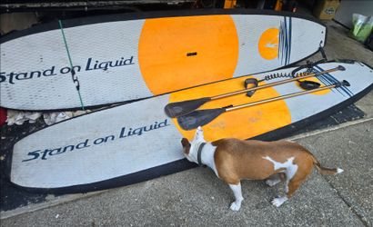 2 11.5 epoxy and foam stand on liquid paddleboards