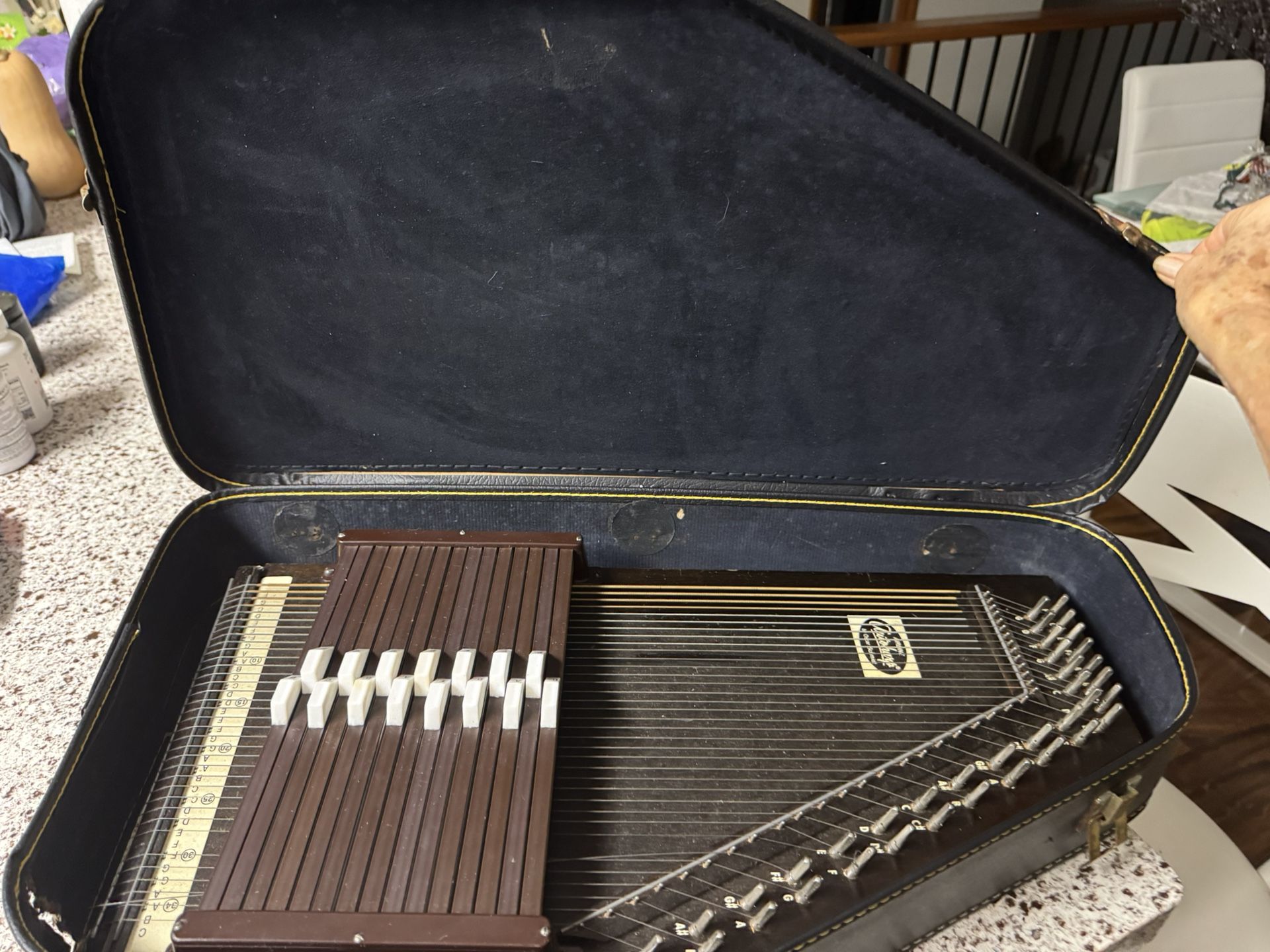Auto Harp