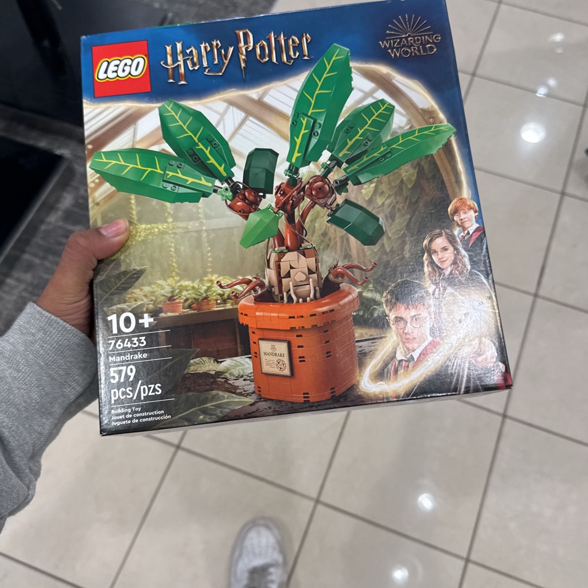 Mandrake