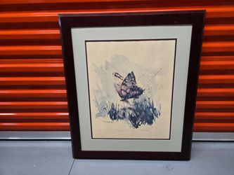 Framed Butterfly Watercolor Print