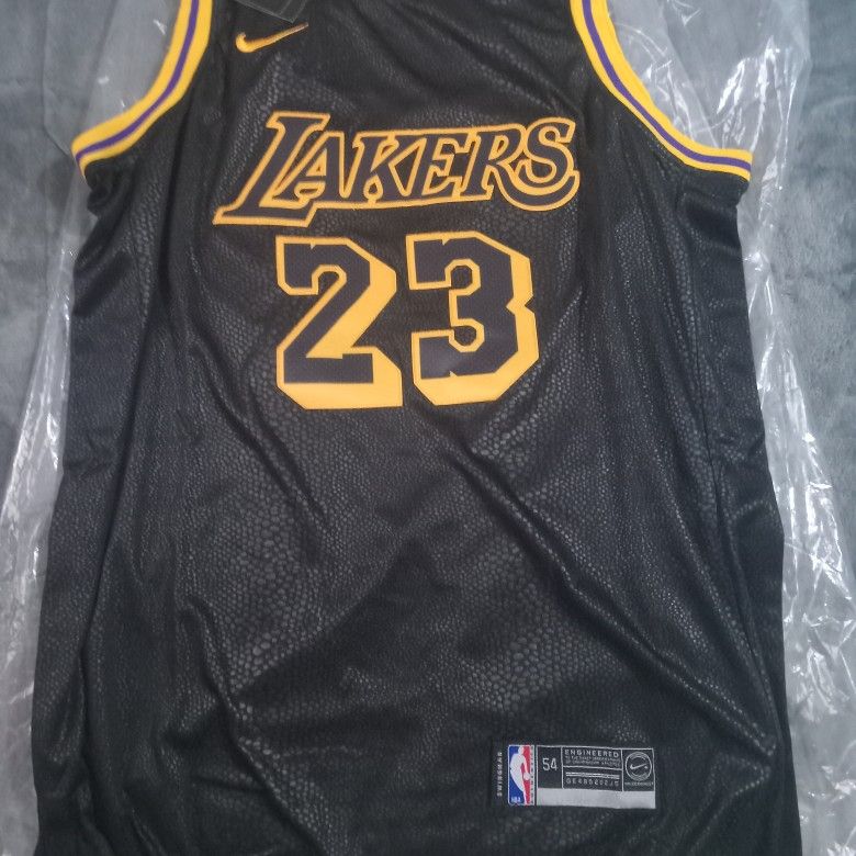 Nike Lebron James Los Angeles Lakers Jersey Size M-XL Youth/women Brand New  Purchased From Nike for Sale in San Diego, CA - OfferUp