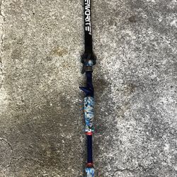 Favorite Fishing Rod