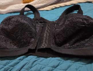 Ashley Stewart Bra