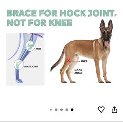 Dog Leg Brace for Rear Hock & Ankle, Canine Hind Leg Joint Compression Wrap for Torn ACL & CCL, Back Leg Injury and Sprain Protection, Helps with Elde