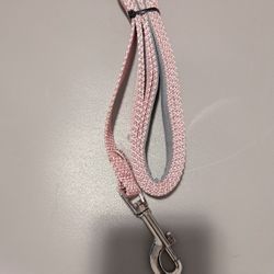 Dog Leash 6 Feet