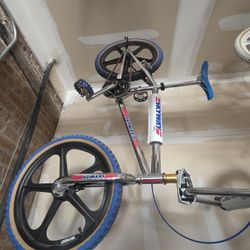 2010 Skyway With Bullseye Skyway Pedals Plus OG Mags