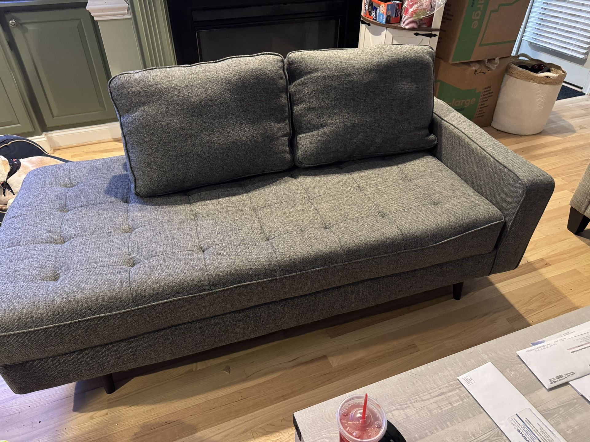 Couch/Sofa