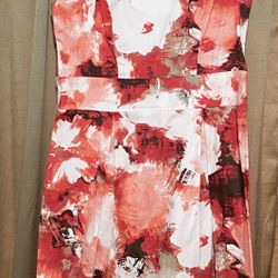 Woman Size 8 Dress $20