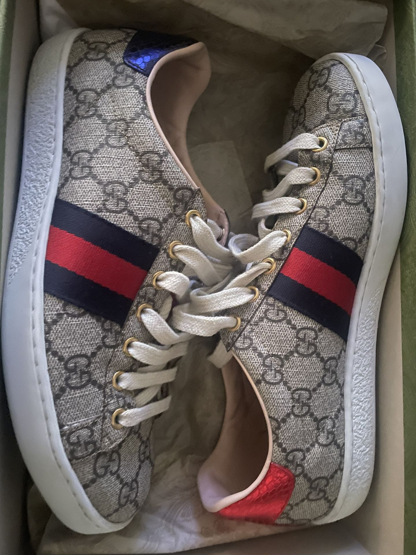 Gucci Shoes 