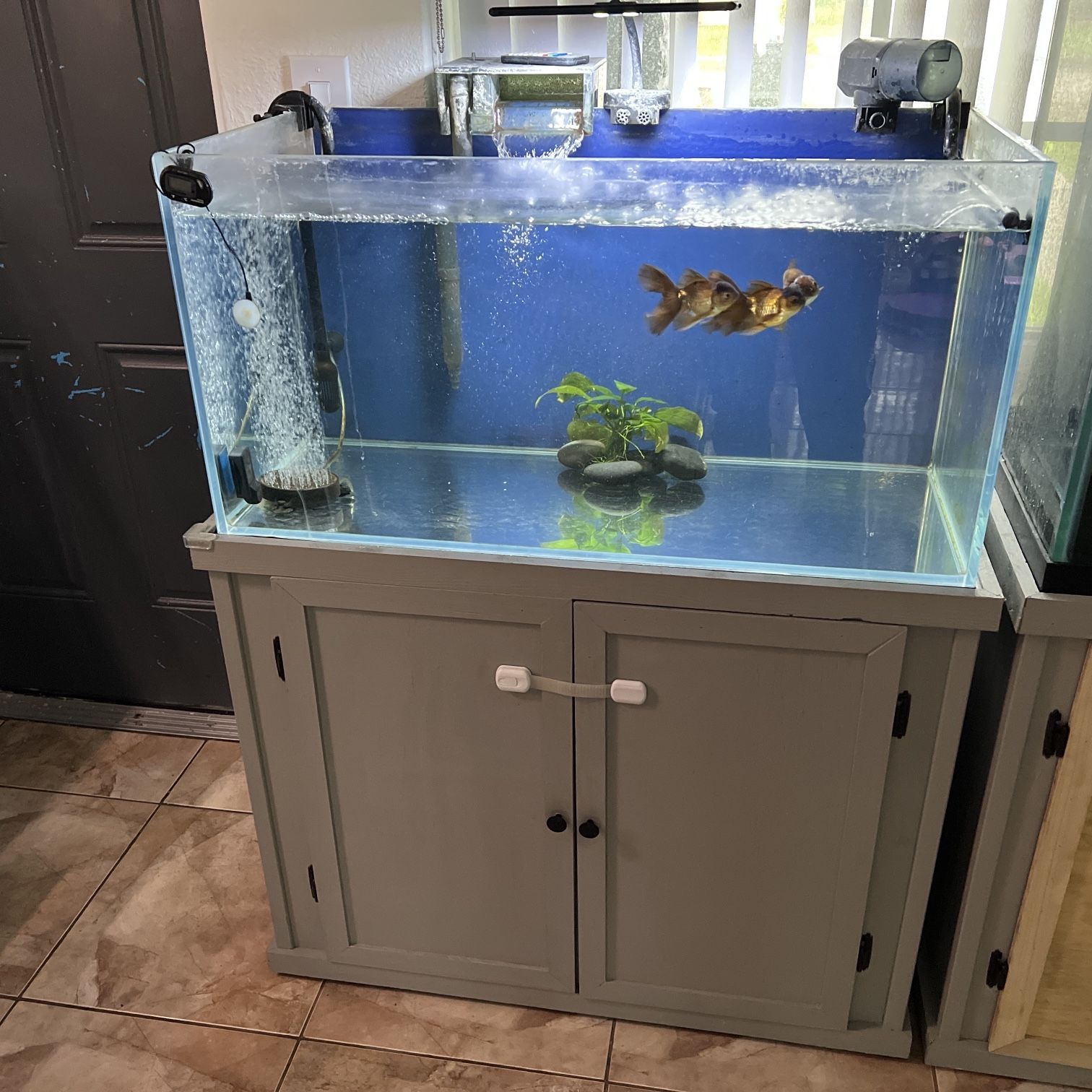 Fish Tank 45 Gallons With Stand 