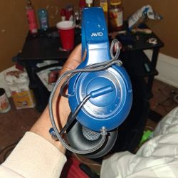 AVID EDUCATIONAL HEADSET WITH MICROPHONE 