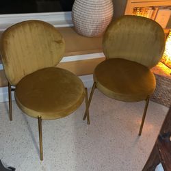 Mustard Velvet Chairs 