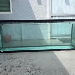 Fish Tank Aquarium 