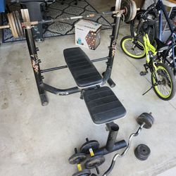 Weight Bench with weights and bars