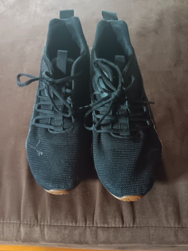 Pumas