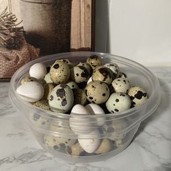 Huevos De Codorniz.  Quail Eggs 