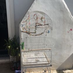Bird Cage 