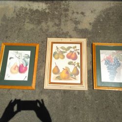 3 Fruit Art Pieces