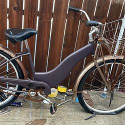 Vintage Bike/Bicicleta Antigua 