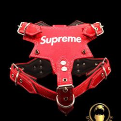Harness For Dogs 