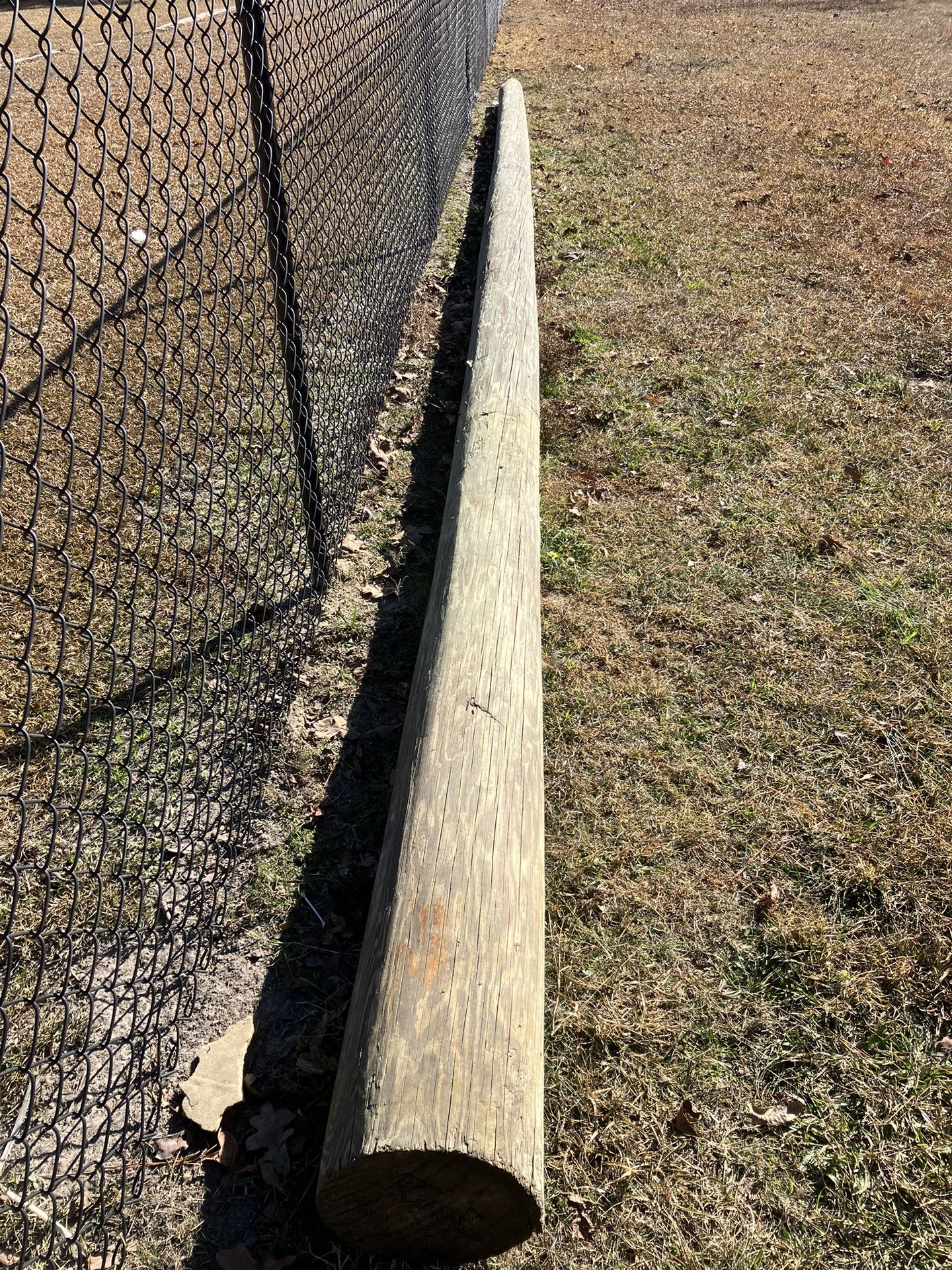 Treated Pole
