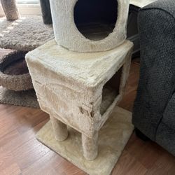 Cat Condo