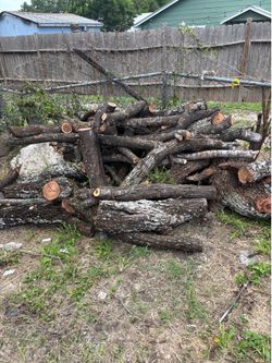 Mesquite woods