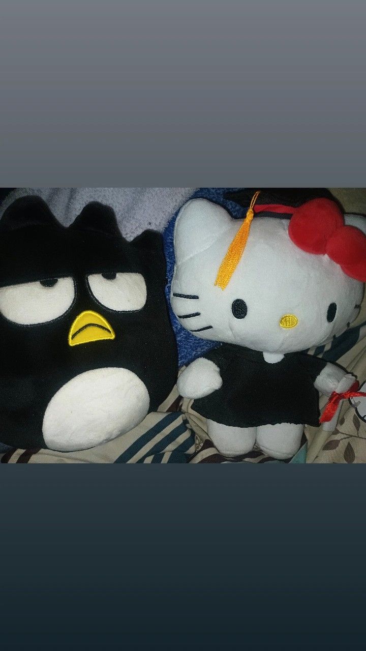 Sanrio Plushies