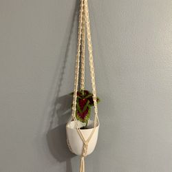 Handmade Macrame Plant Hanger With Pot