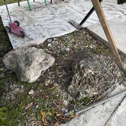Large Limestone Rocks