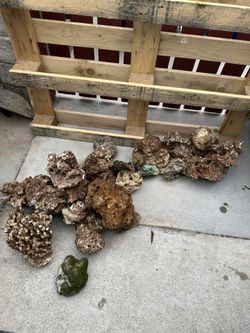 Salt Water Aquarium, Rock 