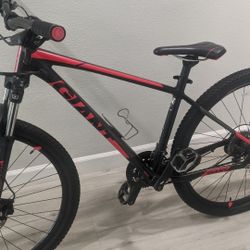 Mountain Bike -Giant-