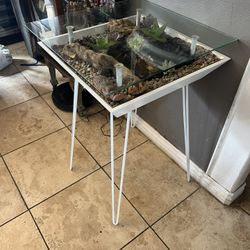 Beautiful End Tables With Live Plants 