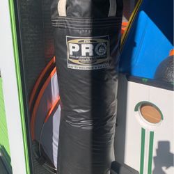 Punching Bag