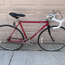 Miyata 110 Road Bike City Commuter Single Speed Fixie Conversion Small Frame Excellent Condition for Sale in Chicago IL OfferUp