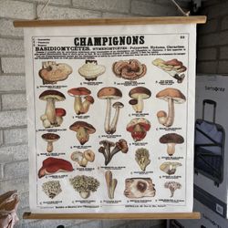 Champignon Fabric Scroll Wall Hanging