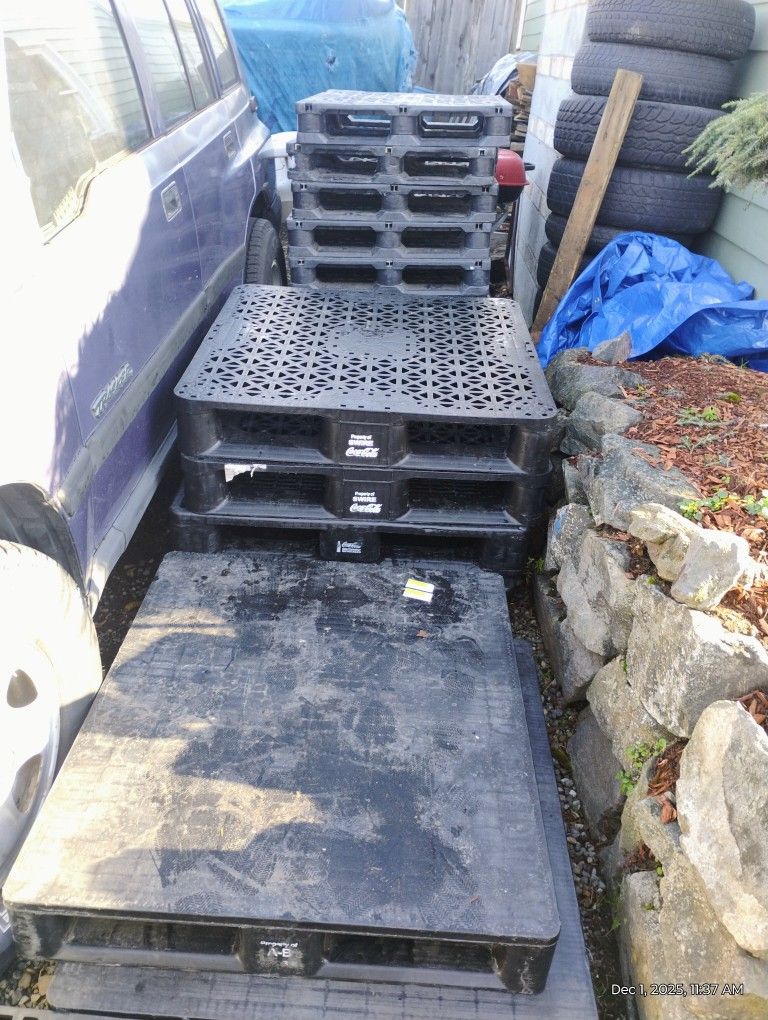 Plastic Pallets As Many As You Need ($6) Eac