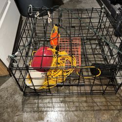 Crab Traps