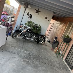 2014 HD Softail deluxe