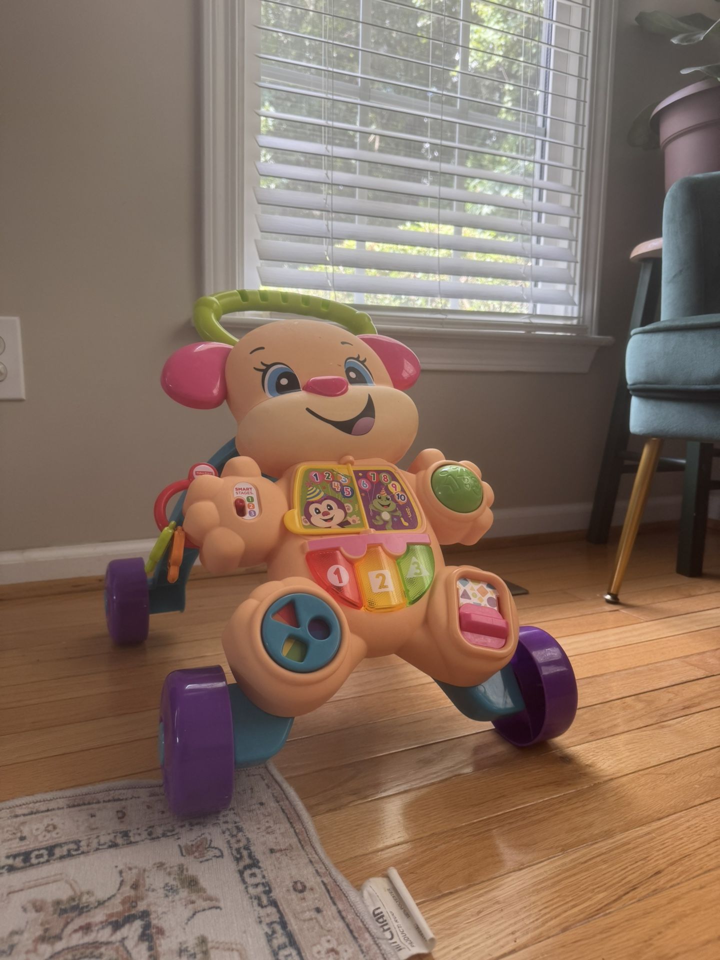 Baby Walker