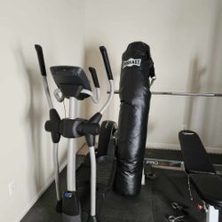 Pro-form elliptical machine/punching and kicking hanging bag.